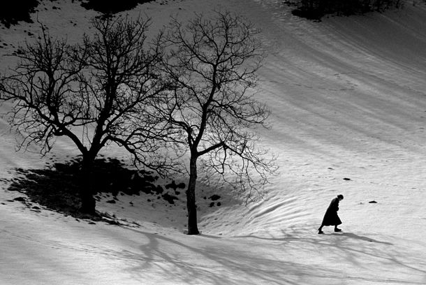 still / picture for Šuolni iz Trsta 