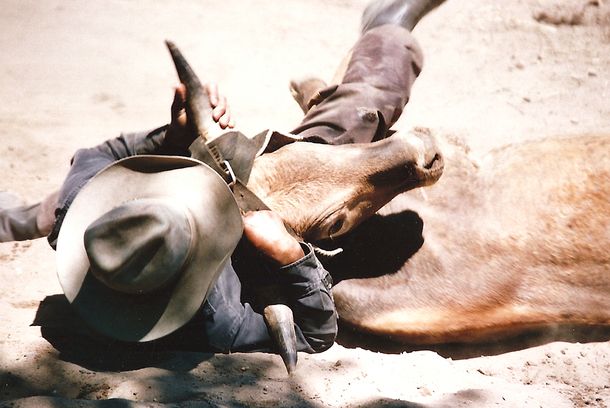 still / picture for The Black Cowboys