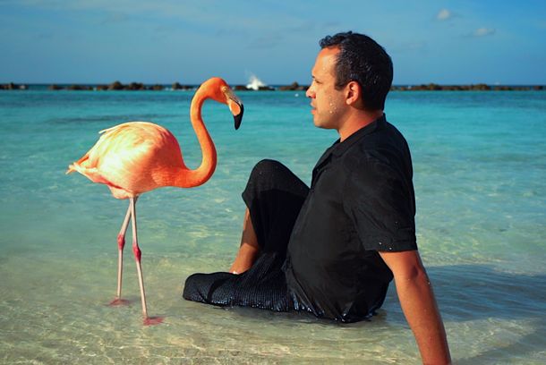 still / picture for The Mystery of the Pink Flamingo