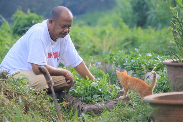 still / picture for Of Cats, Dogs, Farm Animals and Sashimi