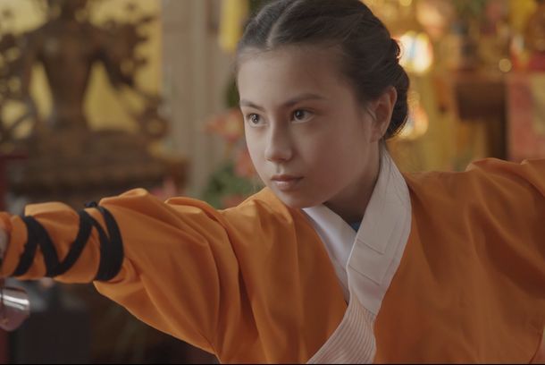 still / picture for The Daughter of the Shaolin Master