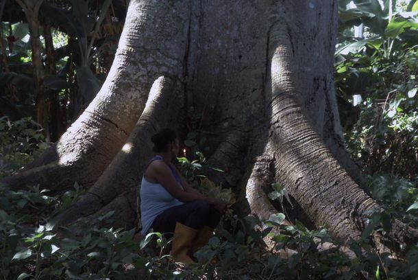 still / picture for La Marcha de Balogun