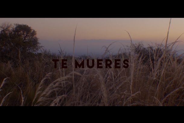 still / picture for Te Mueres