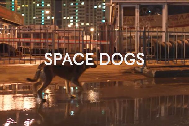 still / picture for SPACE DOGS