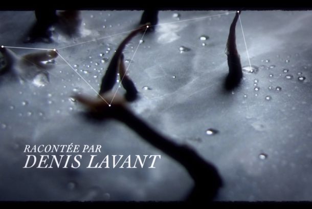 still / picture for La Nuit du Vivant