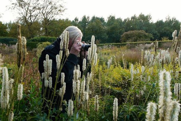 still / picture for FIVE SEASONS: THE GARDENS OF PIET OUDOLF