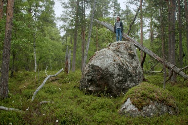 still / picture for TICS - mit Tourette nach Lappland