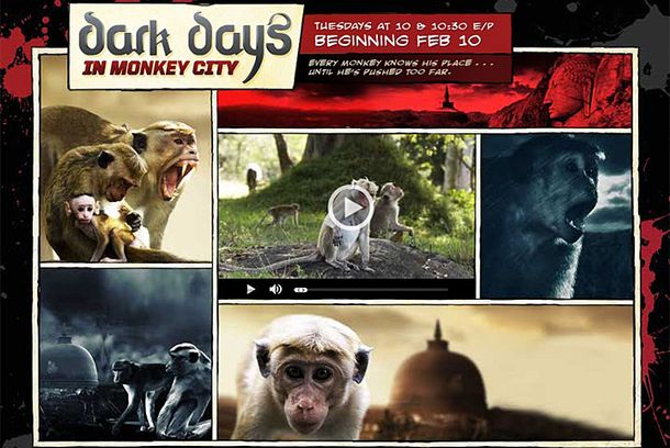 still / picture for Dark Days In Monkey City