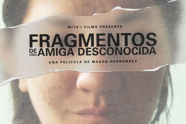 still / picture for Fragmentos de una amiga desconocida