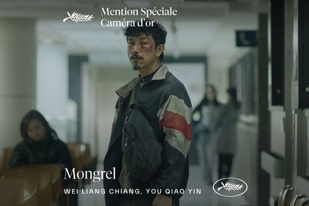 still / picture for Mongrel