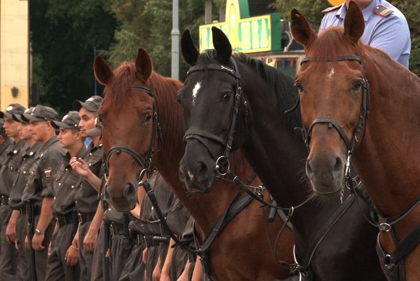 still / picture for Two sides of one horse