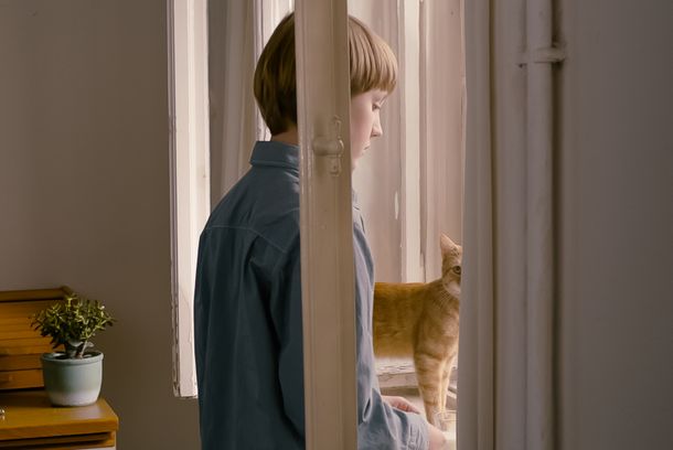 still / picture for Das merkwürdige Kätzchen (The Strange Little Cat)