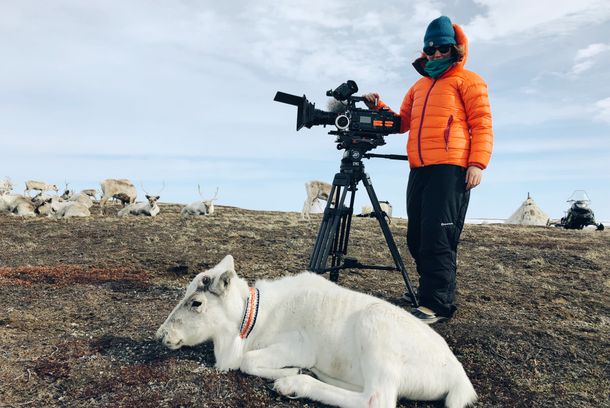 still / picture for Frozen Planet II, TV Series