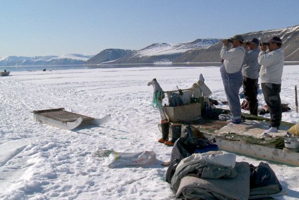 still / picture for ThuleTuvalu