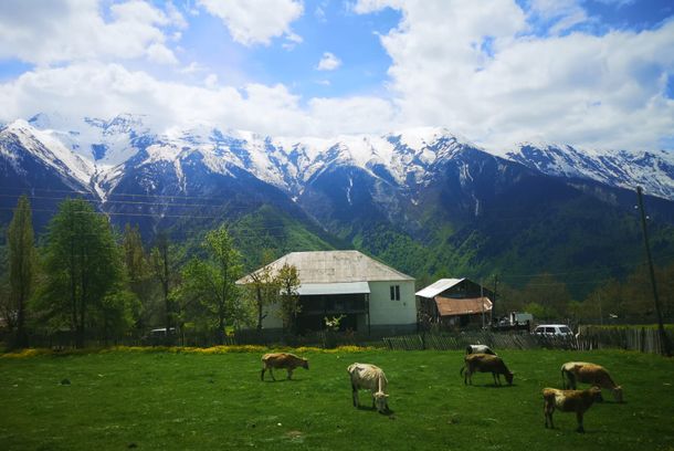 still / picture for Mobile postcard from Svaneti