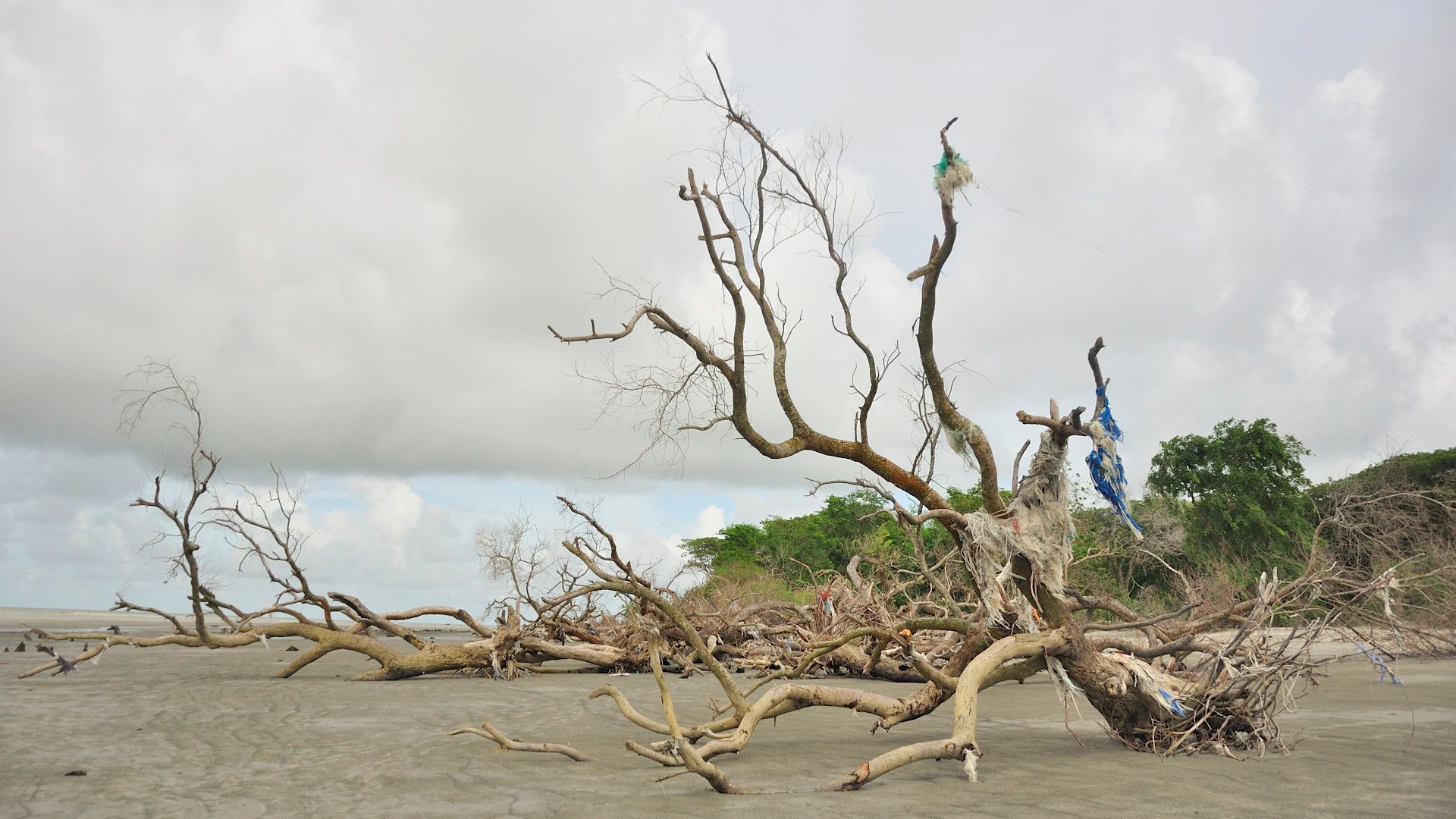 The same location in 2021. The village has disappeared due to the rising sea level. 